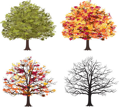 Different seasons of art tree. Vector