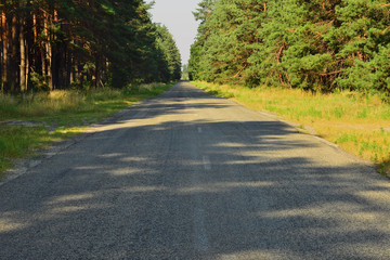 Лесная дорога