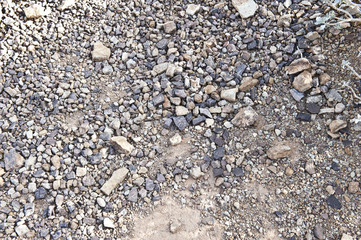 A view of the gravel at the Grand Canyon on a sunny day.