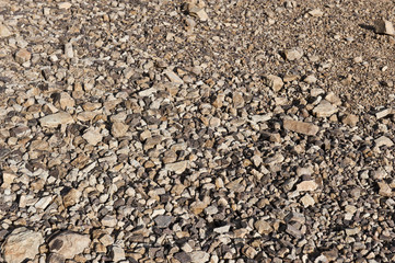 Many hard, dry, small, yellow/brown rocks of all shapes and sizes.