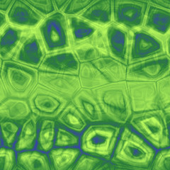 Tissue seamless generated hires texture