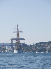 Tall Ship Races Bergen