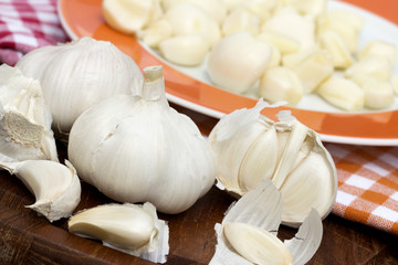 knoblauch III