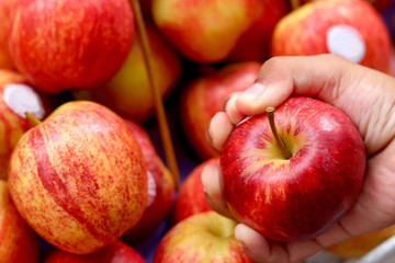 Child holding apples at the market.
