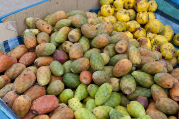 Prickly pear cactus at a farmers market on a sunny day.