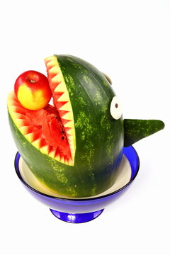 Wassermelonen-Hai