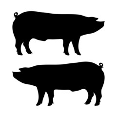 pig silhouette