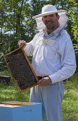 Young beekeeper smiling and showing his bee colony