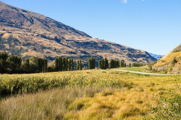 Picturesque landscape