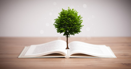Tree growing from an open book