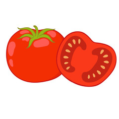 tomatoes vector