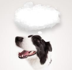 Cute dog with empty cloud bubble