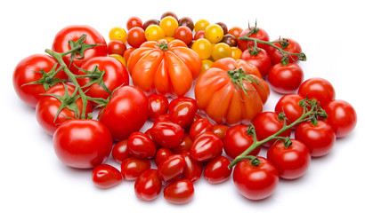 Different varieties of tomatoes