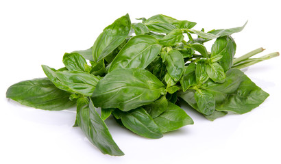 Basil