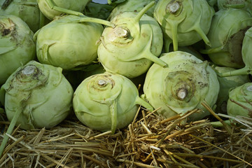 Kohlrabi
