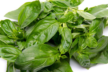 Basil
