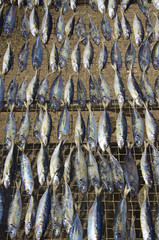 Dry fish in Hong Kong island