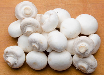 Fototapeta na wymiar White parisian mushrooms