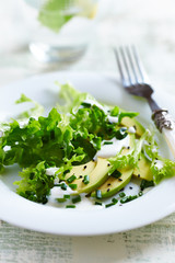 Avocado and Endive Salad with Yogurt Dressing