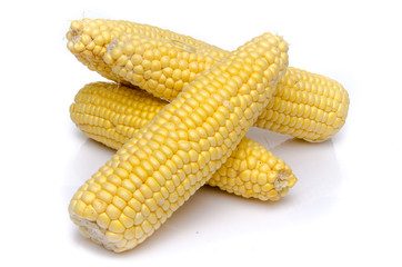 Fresh corn on the cob