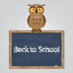 funny owl with school board