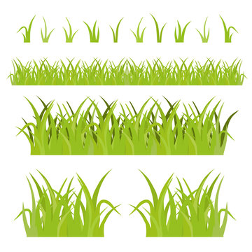vector grass