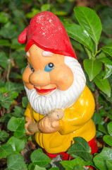 Garden gnome standing in ivy