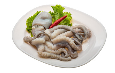Raw octopus