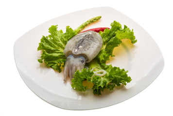 Raw cuttlefish