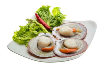 Raw fresh scallop