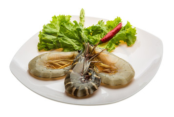 King and waterleg shrimps