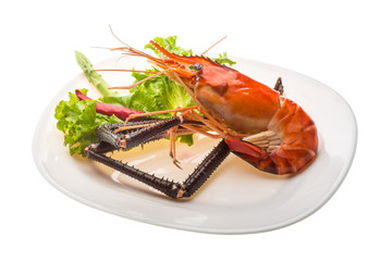 Giant Freshwater Prawn