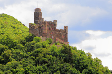 Fototapeta na wymiar Burg Maus (Juli 2014)
