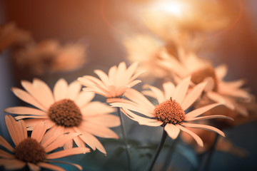 yellow flowers at abstract background