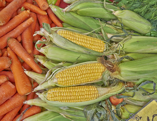 organic corn cobs and carrots at the local market