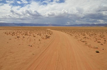 Fototapeta na wymiar Wüstenstraße in der Namib