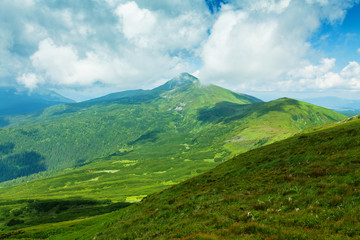 Carpathian mountains
