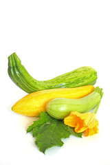 Zucchini