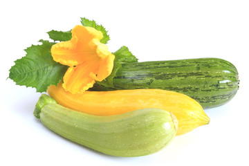 Zucchini