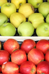 Rote und grüne Äpfel