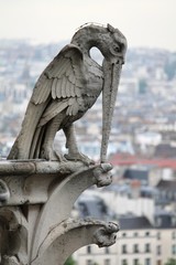 Stone bird gargoyle, Notre Dame Cathedral, Paris, France