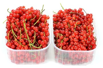 Rote Johannisbeeren isoliert auf weißem Hintergrund