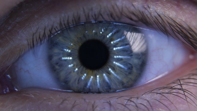 Eye iris and pupil macro with zoom