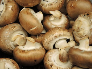 Champignons