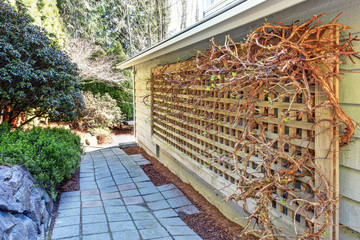 Backyard with walkway and grid attached to the wall
