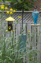 Bird Feeder and Bath in a Garden