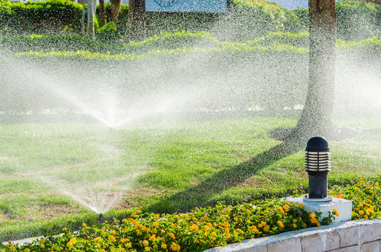 Automatic Sprinkle plants in the garden
