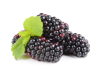 Delicious blackberries isolate on white