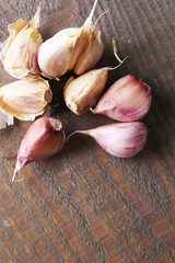 Fresh garlic on wooden background