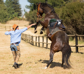 cowboy trying to control his horse